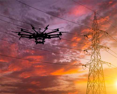 运河秋宴、早茶客、马鞭草花海……国庆游乌镇攻略请收好