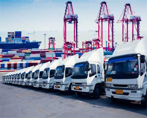 桂丁茶叶成致富“金叶”，她把数百年前失传贡茶盘活了