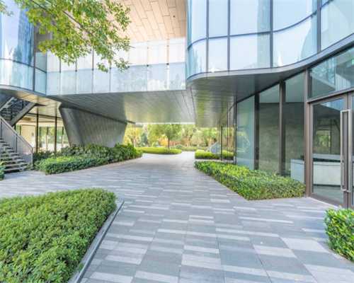 张家界茅岩莓茶