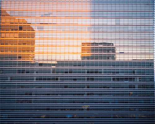 广西做大做强茶产业的思考