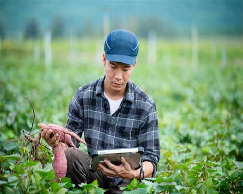 【雨轩茶阁】明昊与小东的裂痕