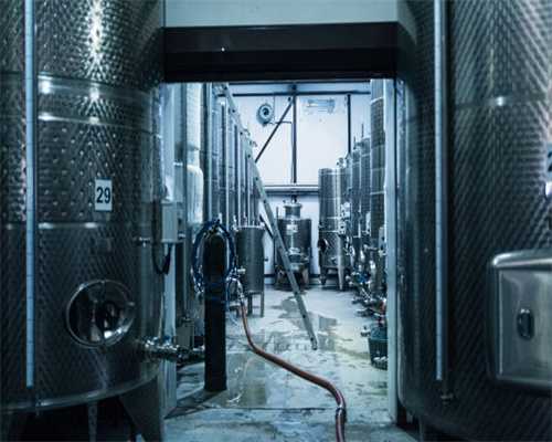 茶叶哪一泡最好喝？来看看不同茶叶的“耐泡”指南