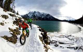 茶叶介绍——云南红茶