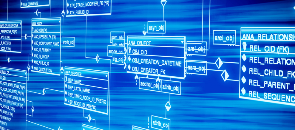 韵致皇茶茶饮加盟 皇茶加盟首选品牌