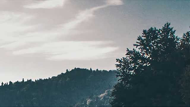 茶之妙道与茶之三美