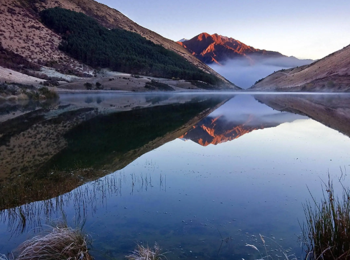 “寿宁乌茶”开茶节举行